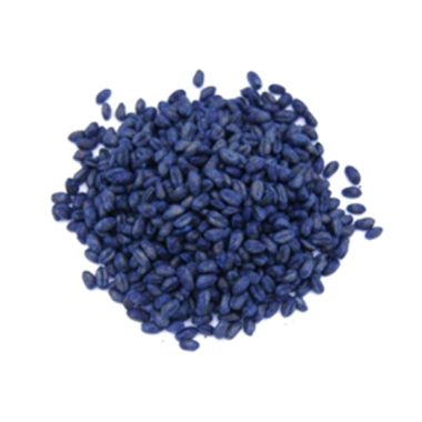 موش کش گندمی هلاک