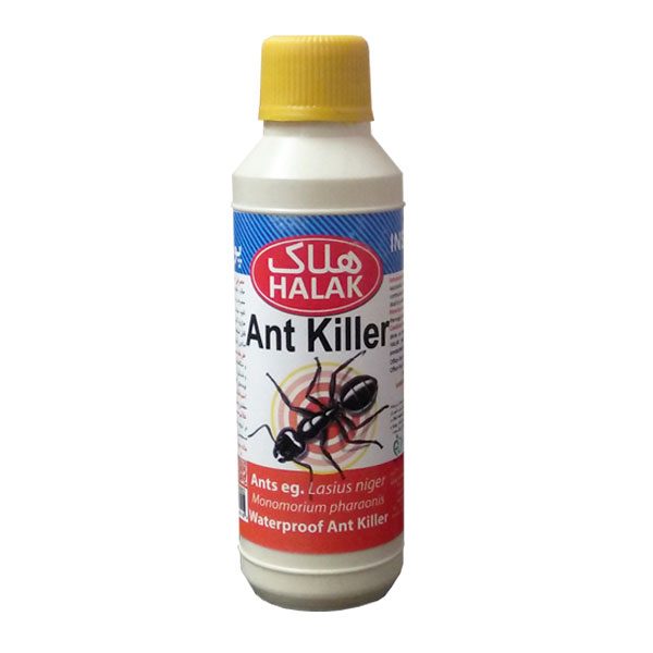 هلاک مسحوق القاتل النمل